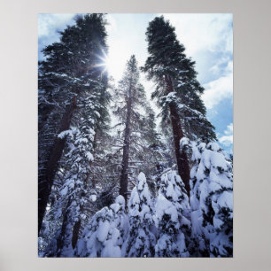 Poster Californie, Montagnes de la Sierra Nevada 9