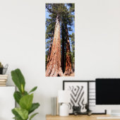 Poster Californie Panoramique 1 (Bureau à domicile)