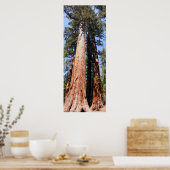 Poster Californie Panoramique 1 (Cuisine)