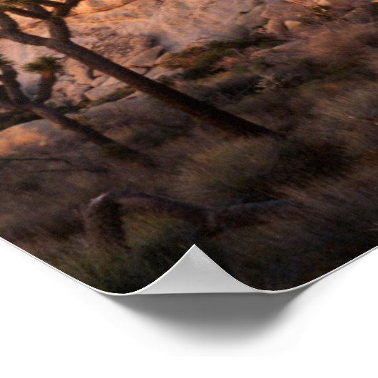 Poster Californie, Parc national de Joshua Tree, Joshua (Coin)