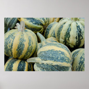 Poster Californie. Récolte D'Automne En Californie