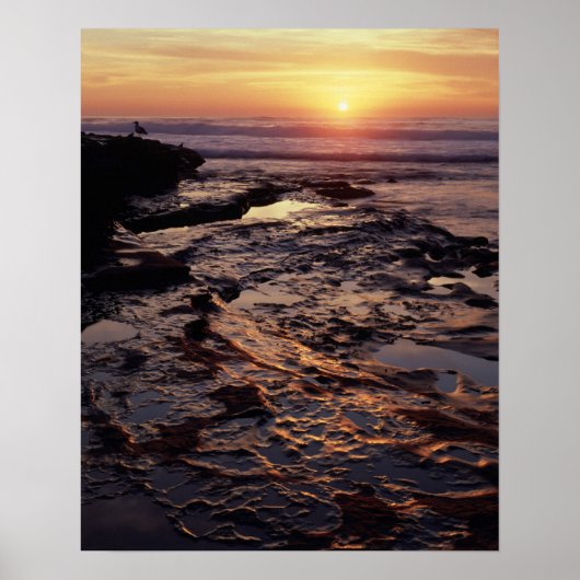 Poster Californie, San Diego, La Jolla, Coucher de soleil (Devant)