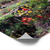 Poster Californie, Sierra Nevada Mountains 1 (Coin)