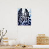 Poster Californie, Sierra Nevada Mountains 9 (Cuisine)