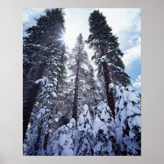 Poster Californie, Sierra Nevada Mountains 9 (Devant)