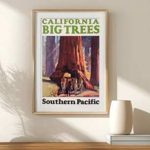 Poster Californie vintage Grands arbres Pacifique Sud