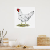 Poster Californie White Hen (Cuisine)