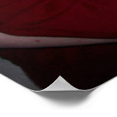 Poster câlinage (Coin)