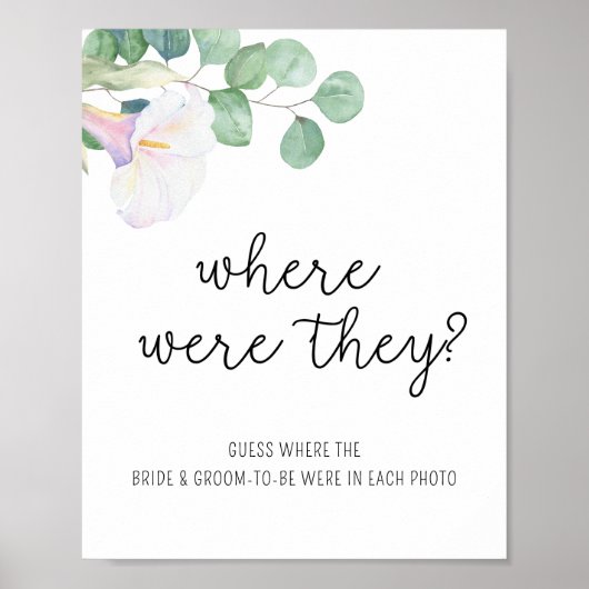 Poster Calla et eucalyptus - Où étaient-ils ? (Devant)