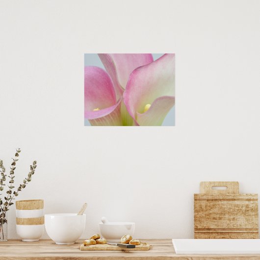 Poster Calla Lilies Rose (Cuisine)