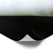 Poster Calla Lilly (Coin)