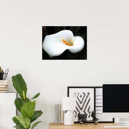 Poster Calla Lilly (Bureau à domicile)