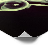 Poster Calla Lilly - Motif rétro (Coin)