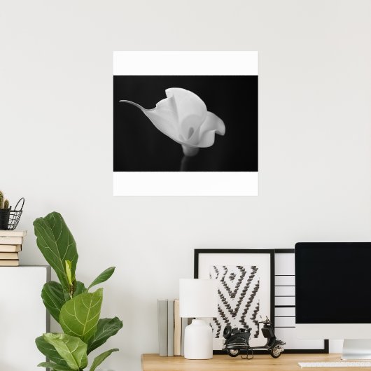 Poster Calla Lilly noir et blanc (Bureau à domicile)