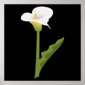 POSTER CALLA LILY (Devant)