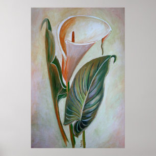 Poster Calla Lily Beau Art Botanique