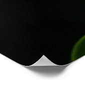 Poster Calla Lily en noir (Coin)