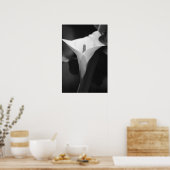 Poster Calla Lily en noir et blanc (Cuisine)