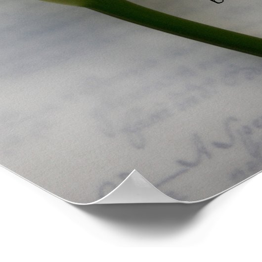 Poster Calla lily sur le panneau d'écriture manuscrite (Coin)