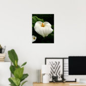Poster Calla Lilys (Bureau à domicile)