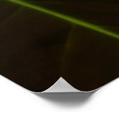 Poster Calla Rose Lily Élégant Floral (Coin)