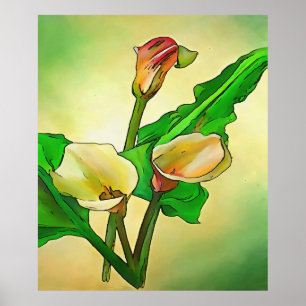 Poster Calla Se Lie Contre Un Ombre Vert