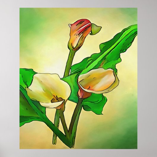Poster Calla Se Lie Contre Un Ombre Vert (Devant)
