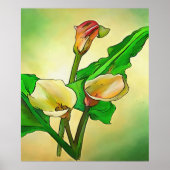 Poster Calla Se Lie Contre Un Ombre Vert (Devant)