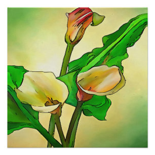 Poster Calla Se Lie Contre Un Ombre Vert