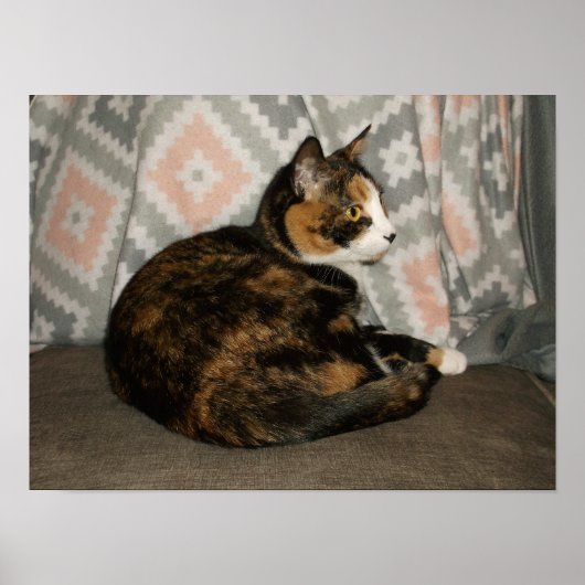 Poster Callie Cat sur le canapé (Devant)