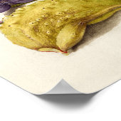 Poster calligraphie antique vintage illustration botaniqu (Coin)