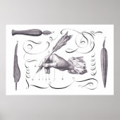 Poster Calligraphie, Écriture - Belle 18e C. Engraving (Devant)