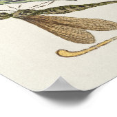 Poster Calligraphie vintage (Coin)