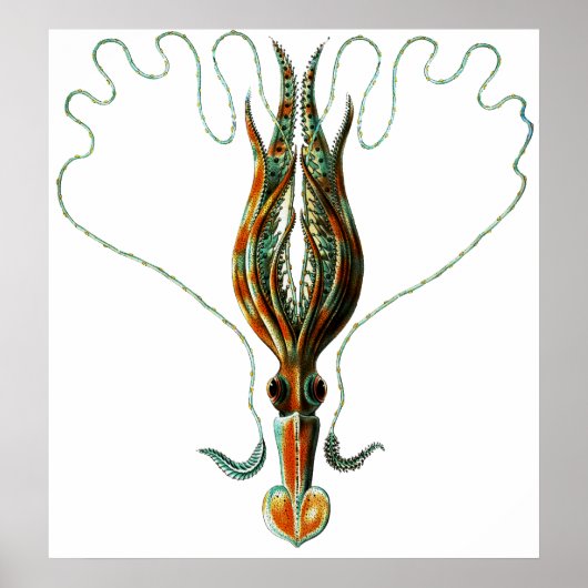 Poster Calmar, Armé De Longue Date Stylisé (Devant)