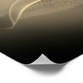 Poster calmar de Bigfin, Sepioteuthis lessoniana, (Coin)