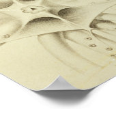 Poster Calmar, Pl.2 de 'Histoire Naturelle (Coin)