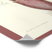 Poster Calmar pourpre Céphalopod Mer Créatures Art Imprim (Coin)