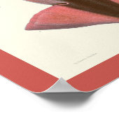 Poster Calmar pourpre Céphalopod Mer Créatures Art Imprim (Coin)