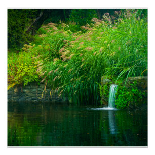 Poster Calme émeraude près des chutes du jardin