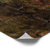 Poster Calme forestier (Coin)