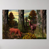 Poster Calme forestier (Devant)