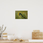 Poster camarade jaune (Cuisine)