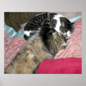 Poster Camarades de sommeil (Devant)