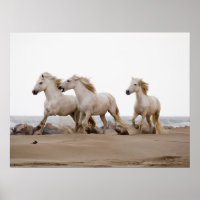 Camargue Horses courir sur la plage