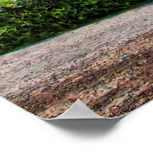 Poster Camaro SS 1969 (Coin)