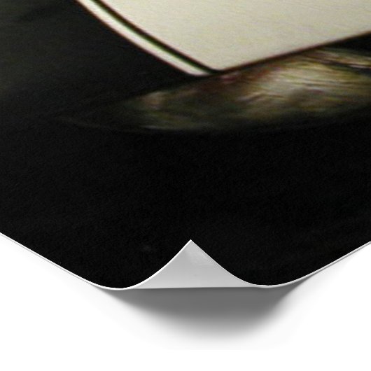 Poster Camaro Stripes (Coin)