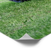 Poster Camaro ZL1 (Coin)