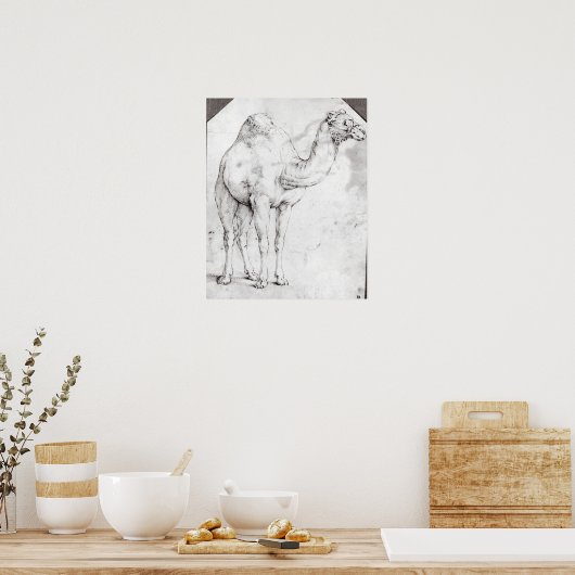 Poster Camel (Cuisine)