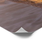 Poster Camel amusant (Coin)