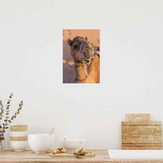 Poster Camel amusant (Cuisine)